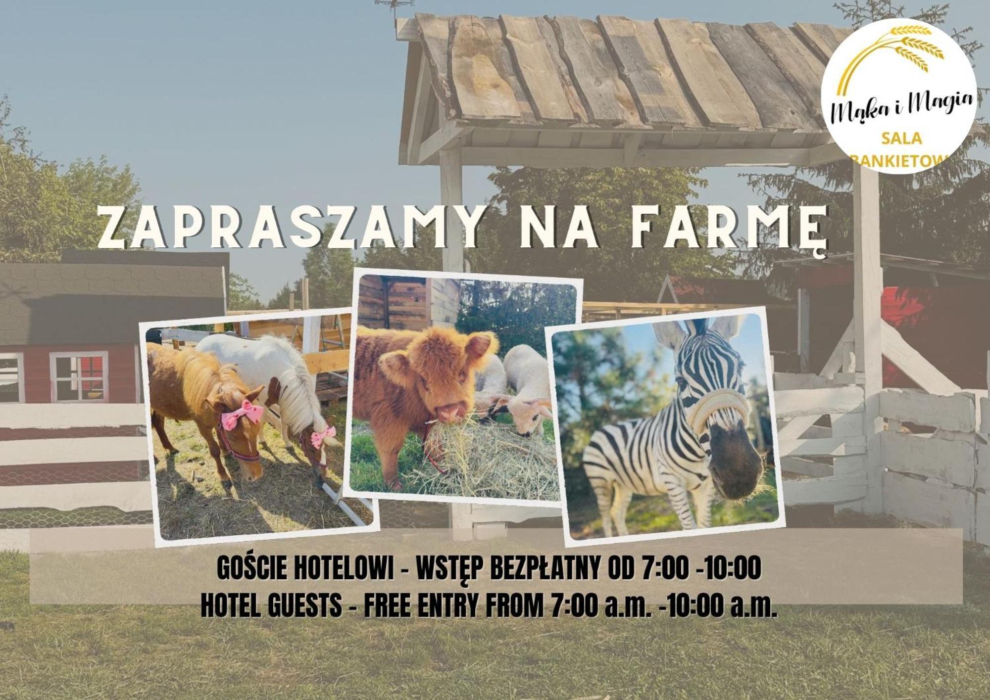 Magiczna Farma Hotel Obiady Maka I Magia Zambrow Bagian luar foto